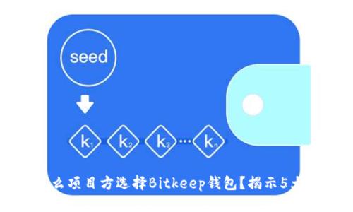 为什么项目方选择Bitkeep钱包？揭示5大优势