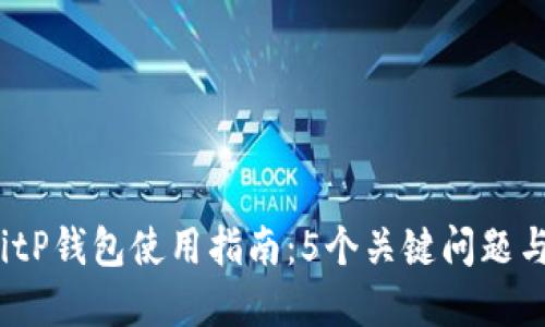 2023年BitP钱包使用指南：5个关键问题与解决方案