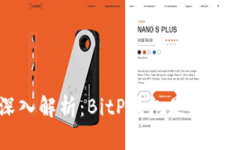 深入解析：BitP钱包是否开源？