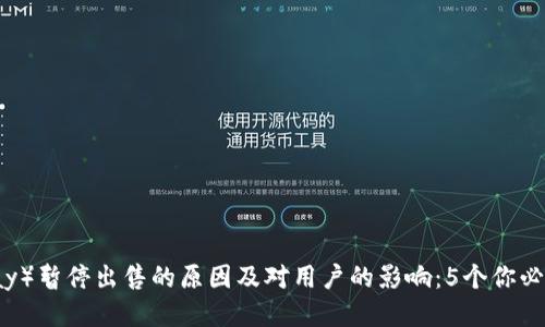 比特派（BitPay）暂停出售的原因及对用户的影响：5个你必须知道的要点