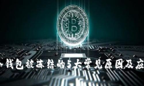 揭秘：冷钱包被冻结的5大常见原因及应对策略