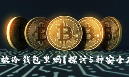FIL可以放冷钱包里吗？探讨5种安全存储方案