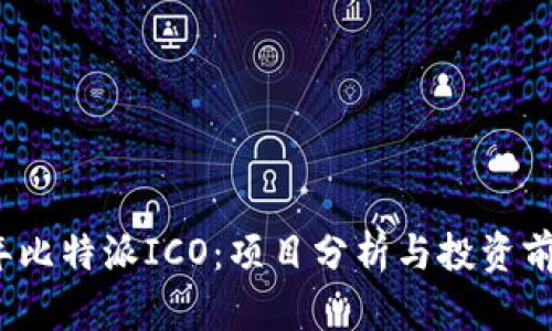 2023年比特派ICO：项目分析与投资前景评估