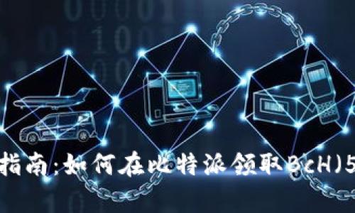 2023年最新指南：如何在比特派领取BcH（5个简单步骤）