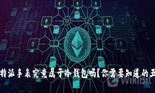 深入解析：B特派手表究竟属于冷钱包吗？你需要知道的五个关键因素