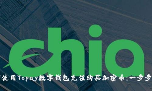 如何使用Topay数字钱包充值购买加密币：一步步指南