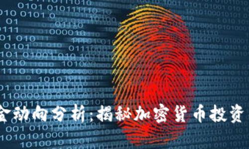 2023年冷钱包资金动向分析：揭秘加密货币投资的最新趋势与风险