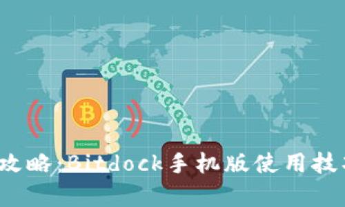 2023年最全攻略：Bitdock手机版使用技巧与功能解析