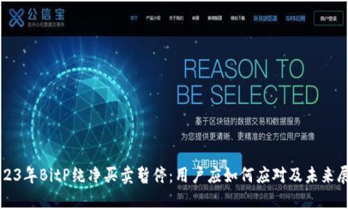 2023年BitP纯净买卖暂停：用户应如何应对及未来展望