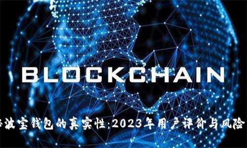 揭秘波宝钱包的真实性：2023年用户评价与风险分析