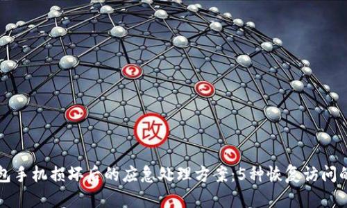 冷钱包手机损坏后的应急处理方案：5种恢复访问的方法