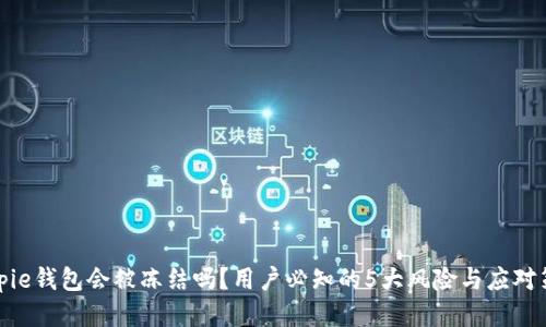 Bitpie钱包会被冻结吗？用户必知的5大风险与应对策略