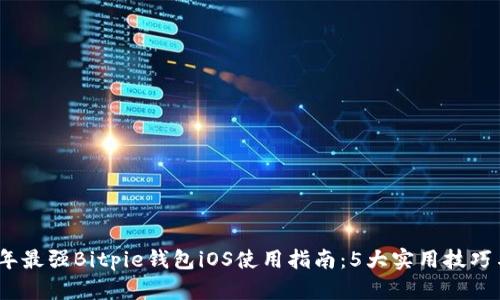 2023年最强Bitpie钱包iOS使用指南：5大实用技巧与建议