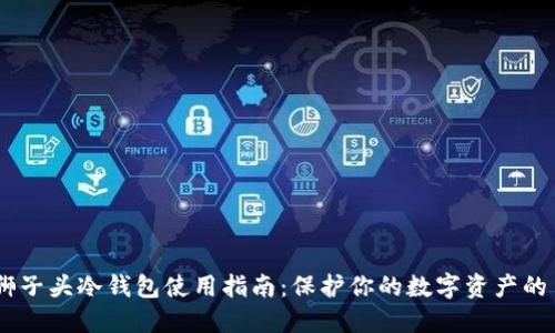 2023年狮子头冷钱包使用指南：保护你的数字资产的10大理由