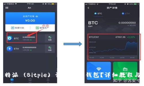 如何在比特派 (Bitpie) 设置观察钱包？详细教程与操作指南