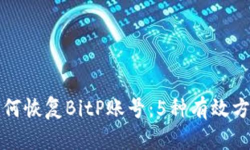 如何恢复BitP账号：5种有效方法