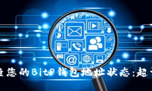 如何检查您的BitP钱包地址状态：超详细指南
