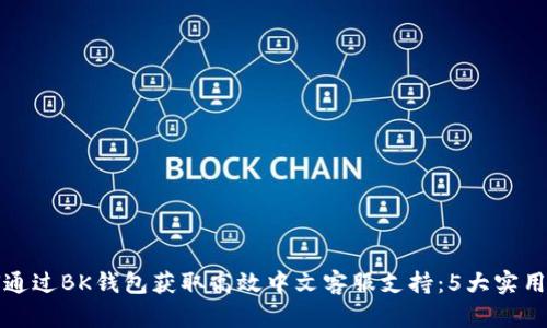 如何通过BK钱包获取高效中文客服支持：5大实用技巧