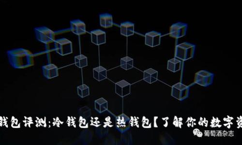 小狐狸钱包评测：冷钱包还是热钱包？了解你的数字资产保护