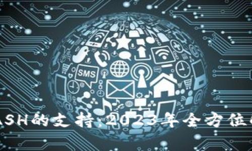 探索B特派对QASH的支持：2023年全方位解析与市场前景