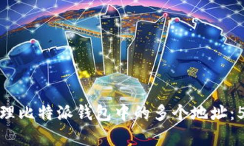 如何有效清理比特派钱包中的多个地址：5个实用步骤