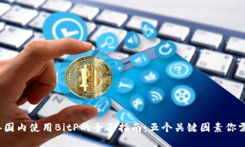 2023年国内使用BitP的全面指南：五个关键因素你需要了解