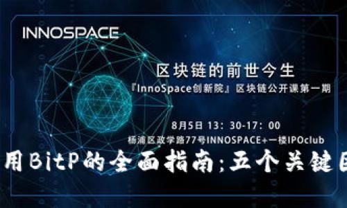 2023年国内使用BitP的全面指南：五个关键因素你需要了解