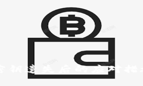 比特派钱包密钥遗失后的应对措施与解决方案