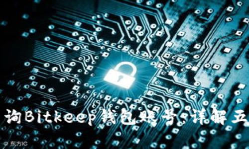 如何查询Bitkeep钱包账号：详解五种方法