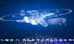 深入解析：Pi 钱包是节点