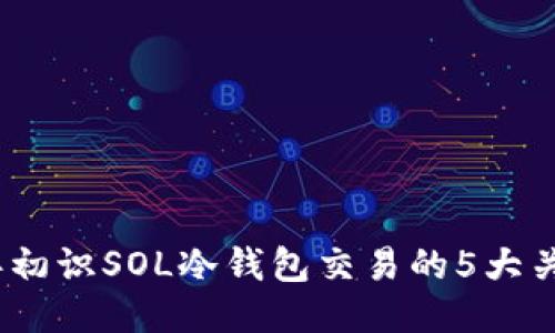 2023年初识SOL冷钱包交易的5大关键步骤