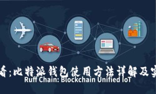 新手必看：比特派钱包使用方法详解及实操视频