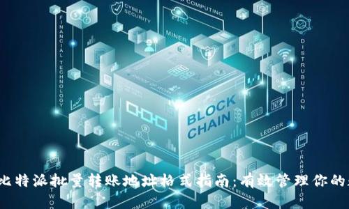 2023年比特派批量转账地址格式指南：有效管理你的数字资产