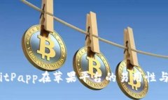 全面分析：BitPapp在苹果平