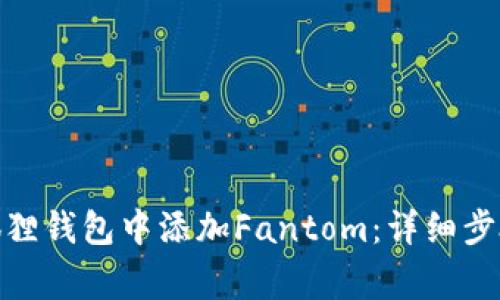 : 如何在小狐狸钱包中添加Fantom：详细步骤与注意事项