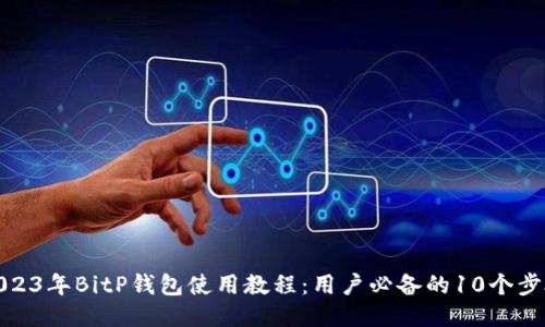 2023年BitP钱包使用教程：用户必备的10个步骤