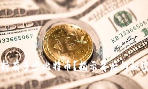 中本聪持有多少比特币？揭示背后的秘密与真相