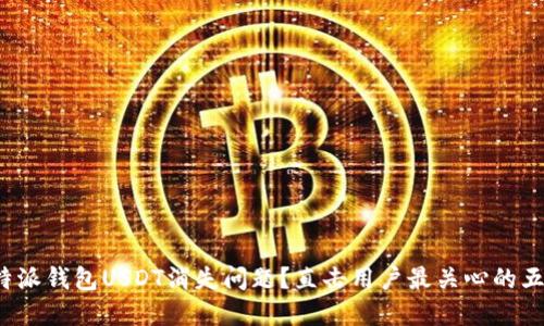 如何解决B特派钱包USDT消失问题？直击用户最关心的五个关键步骤