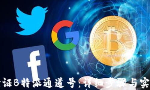 
如何验证B特派通道号：详细步骤与实用技巧