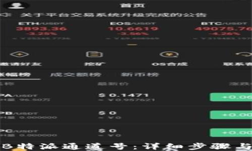 
如何验证B特派通道号：详细步骤与实用技巧