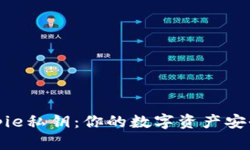 揭秘Bitpie私钥：你的数字资产安全守护者