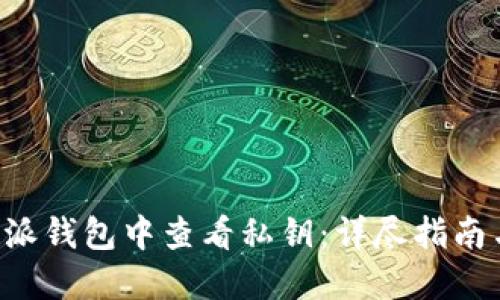 如何在B特派钱包中查看私钥：详尽指南与实用技巧