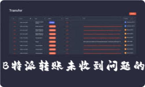 如何解决B特派转账未收到问题的完整指南