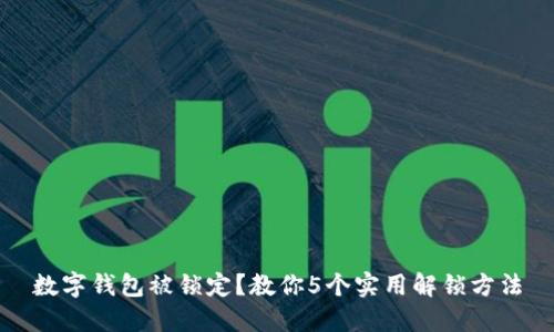 数字钱包被锁定？教你5个实用解锁方法