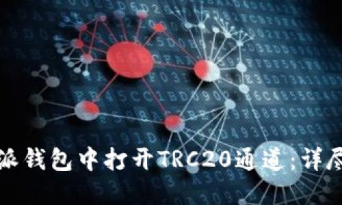 如何在比特派钱包中打开TRC20通道：详尽指南与技巧