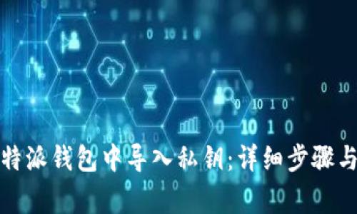 如何在比特派钱包中导入私钥：详细步骤与注意事项