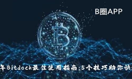 2023年Bitdock最佳使用指南：5个技巧助你快速上手