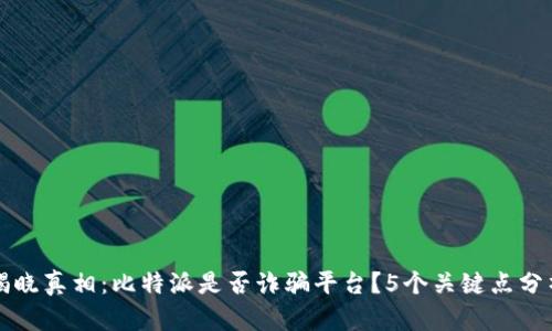 揭晓真相：比特派是否诈骗平台？5个关键点分析