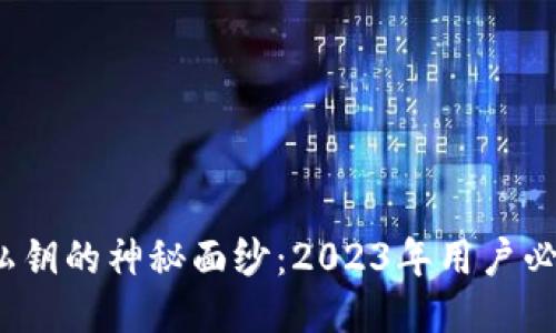 揭开比特派钱包私钥的神秘面纱：2023年用户必知的8个安全秘笈