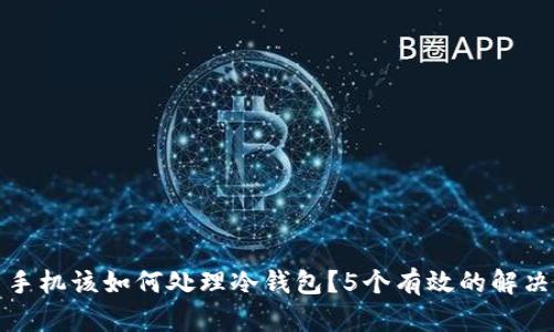 掉了手机该如何处理冷钱包？5个有效的解决方案